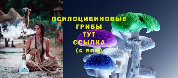 кристаллы Покачи