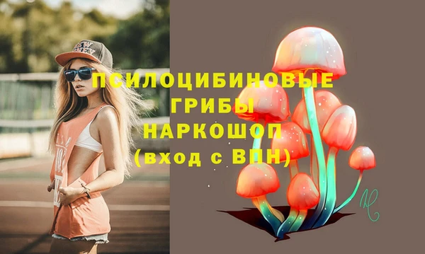 кристаллы Покачи