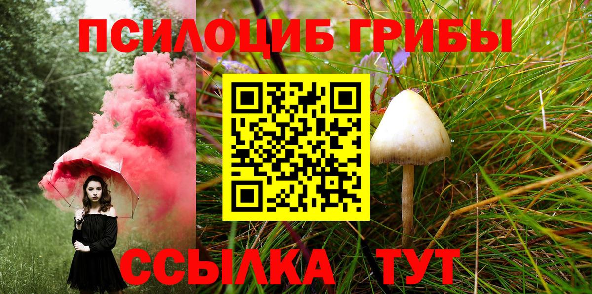 Псилоцибиновые грибы мицелий Гурьевск