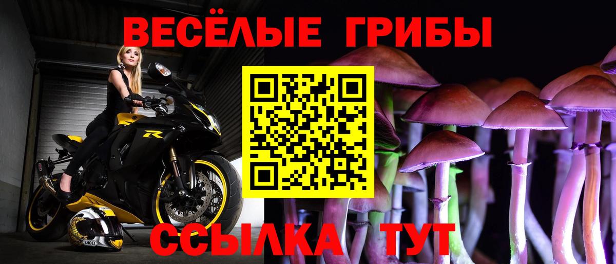 Галлюциногенные грибы мицелий  Гурьевск 